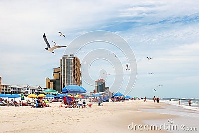 Alabama Gulf of Mexico beach life. Editorial Stock Photo