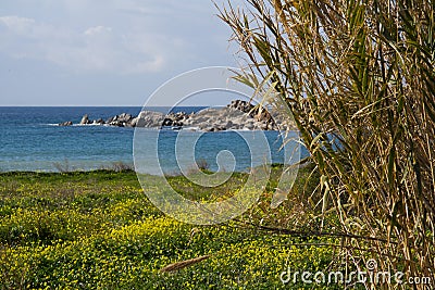 Marine landscape Stock Photo