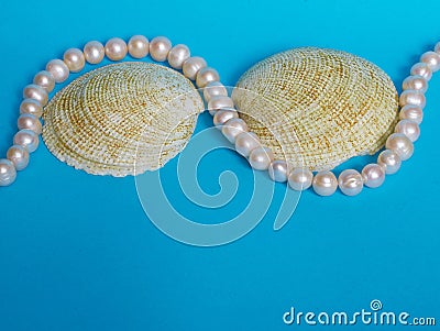 Marine layout. Pearl beads and two large shells on a blue background Stock Photo