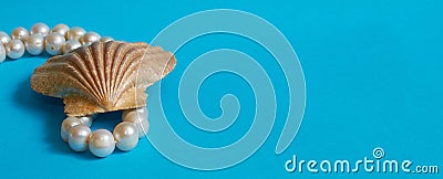 Marine layout. Shell and pearl beads on a blue background. Banner Stock Photo