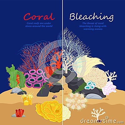 Coral Bleaching Image Vector Illustration