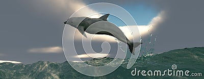 Marine mammal Stock Photo