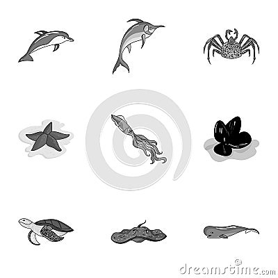 Marine and river inhabitants. Fish, whales, octopuses.Sea animals icon in set collection on monochrome style vector Vector Illustration