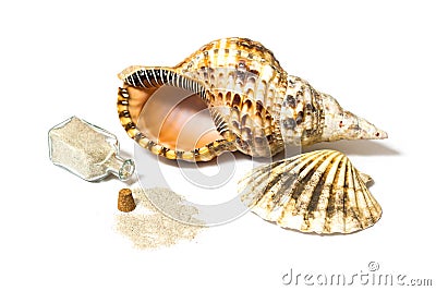 Marine sea shells and sand bottle Stock Photo