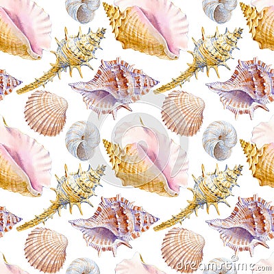 Marine seamless patern of sea shells. Watercolor illustration for textile, greeting cards Cartoon Illustration