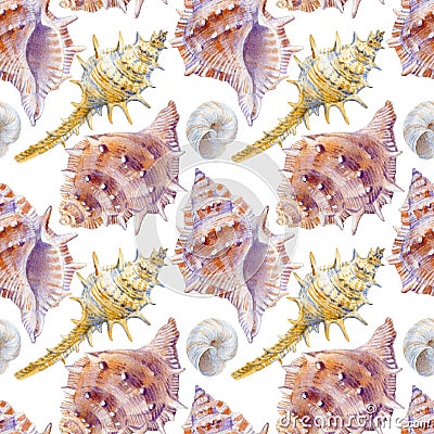 Marine seamless patern of sea shells. Watercolor illustration for textile, greeting cards Cartoon Illustration