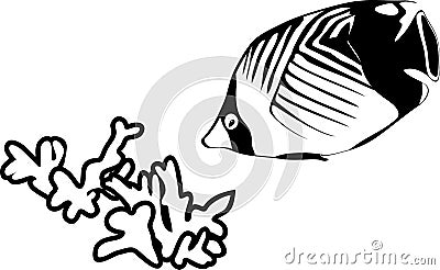 marine tropical fish Stock Photo