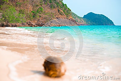 Marine tropical landscape. Coast of the azure sea and mountains, in the foreground a coconut blurred focus. Travel and Stock Photo