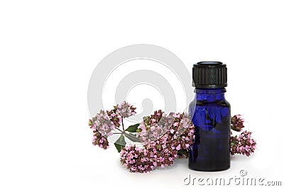 Marjoram Herb Flowers Stock Photo