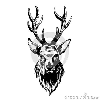 Marker hand-drawn forest animals: deer Cartoon Illustration