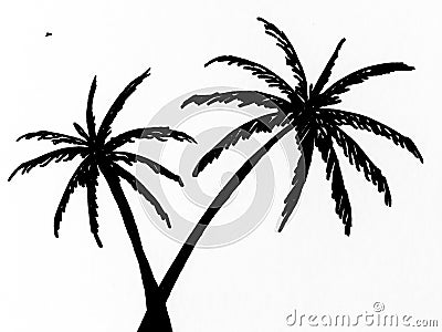 Marker hand Drawn silhouette of palm trees isolated on a white background. Illustration. Stock Photo