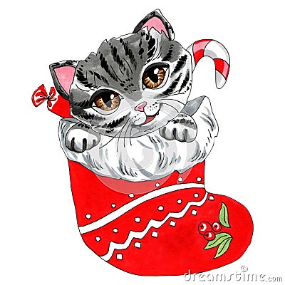 Marker illustration isolated object on a white background Cat and candies in a red christmas stocking Cartoon Illustration