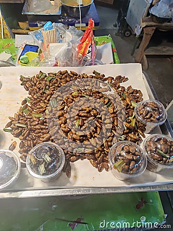 Market Phetchabun Thailand insect Editorial Stock Photo