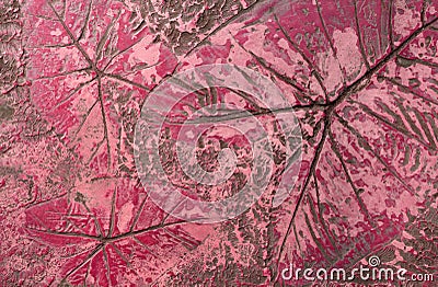 Pattern of leaf stamped on pink concrete pavement for decorate walkways in the garden Stock Photo