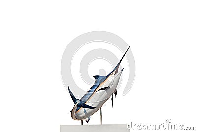 Marlin - Swordfish,Sailfish saltwater fish (Istiophorus) isolate Stock Photo