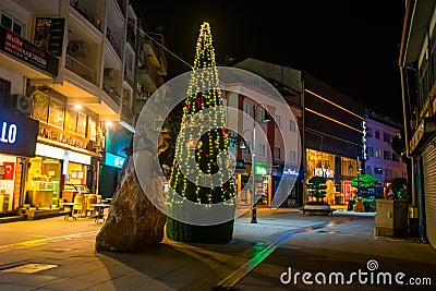 MARMARIS, TURKEY: Christmas tree and monument in the form of a rock with seagulls on the street at night. Editorial Stock Photo