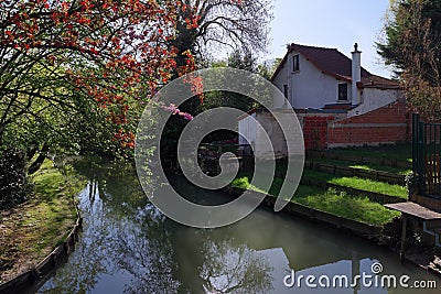 Marne river bank in ÃŽle-de-France country Stock Photo