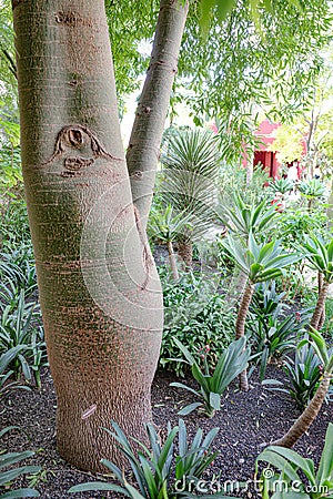 Marrakech, Morocco - Feb 21, 2023: Le Jardin Secret (The Secret Garden), in the old medina of Marrakech Stock Photo