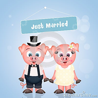 Marriage of pigs Stock Photo