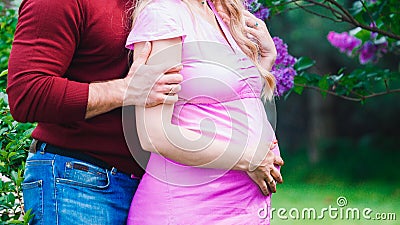 A married couple hugs against a blossoming lilac. the husband hugs the Pregnant wife Stock Photo