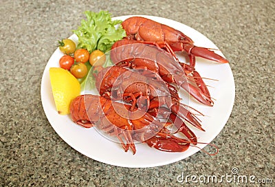 Marron Crayfish Stock Photo