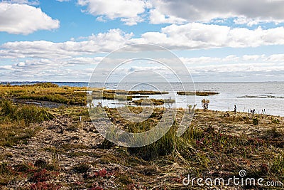 Marsh land on the great south bay in Bay Shore Long Island Stock Photo