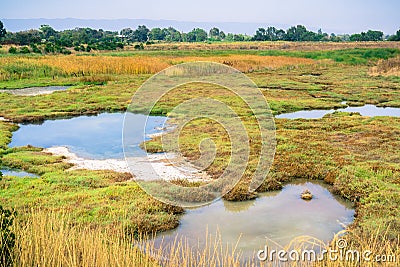 Marsh Landscape, Shoreline Park, Mountain View, California Stock Photo