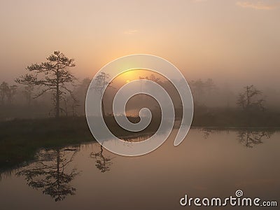 Marsh landscape, sunrise Stock Photo
