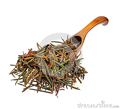 Marsh Northern Labrador Tea Ledum palustre on the wooden spoon. Used in medicine. Stock Photo