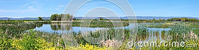 Marshes in South Oregon. Stock Photo