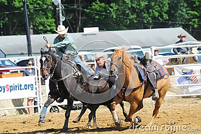 Marshfield, Massachusetts - June 24, 2012: A Rodeo Cowboy Diving From His Horse To Catch A Steer Editorial Stock Photo