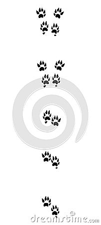 Marten Tracks Black Footprints Vector Illustration