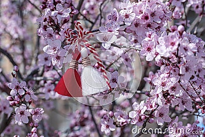 Martenitsa on blossoming tree - symbol beginning spring. Bulgarian1st March holiday. Spring background with pink bloom Stock Photo