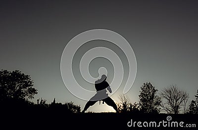 Martial Artists Silhouette - Elbow Strike Stock Photo