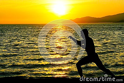 Martial arts Stock Photo