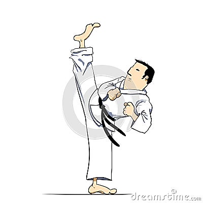 Martial Arts - Karate High Kick Stock Photos - Image: 17627543