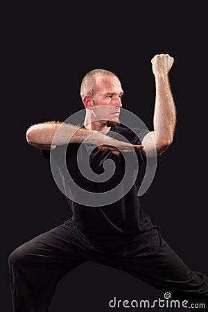 Martial arts teacher fighting stance Stock Photo