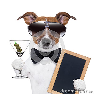 Martini dog Stock Photo