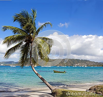 Martinique Stock Photo