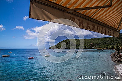 Martinique beach and turtle snorkeling in the caribbean islands Editorial Stock Photo