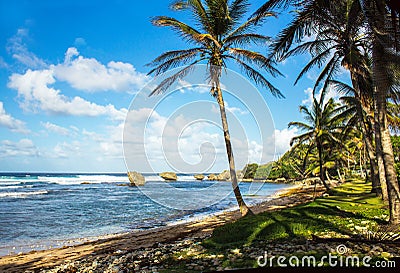 Martins Bay beach on Barbados East Coast Stock Photo