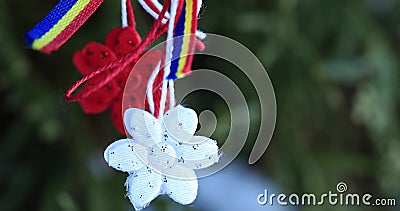 Martisor avec les éléments tricolores roumains, les roses rouges et le fond décoratif de vacances Ressort et amour moldaviens et banque de vidéos Martisor avec les éléments tricolores roumains, les roses rouges et le fond décoratif de vacances Ressort et amour moldaviens et banque de vidéos