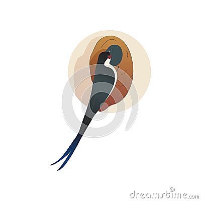 Martlet sitting near nest. Barn swallow. Wild bird with long tail. Wildlife and fauna theme. Flat vector icon Vector Illustration