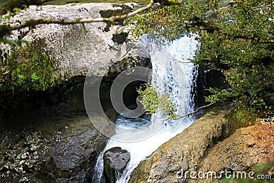 Martvili Canyon, Georgia Stock Photo