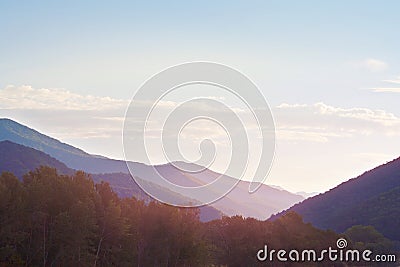 Marvellous dawning in mountains covered with forests Stock Photo