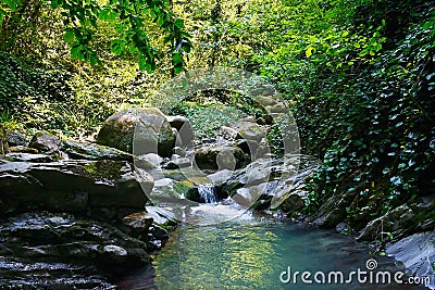 Marvellous mountain stream among southern forests Stock Photo