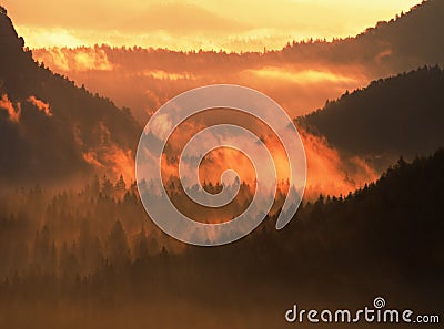 Marvelous daybreak. Autumn sunset view over forest to fall colorful valley full of dense mist colred with hot sun rays Stock Photo