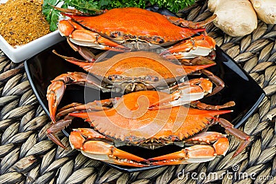 Maryland blue crabs. Steamed crabs. Crab fest. Stock Photo