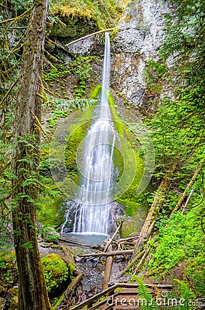 Marymere Falls, Olympic National Park Stock Photo