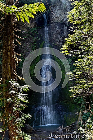 Marymere Falls waterfall in Olympic National Park, framed by trees in the sunshine, in the Lake Crescent area Stock Photo